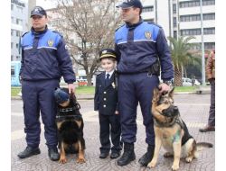 Olay Yeri Bariyeri İle Rahatsız Edici Görüntüler Önlenecek