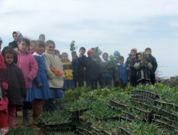 Öğrenciler Maden Sahasına Fidan Dikti
