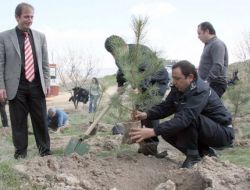 Polis, 3 Bin Ağaç Fidanını Toprakla Buluşturdu