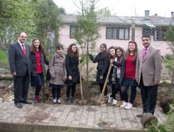Özel Zaim Işık Koleji Öğrencileri Ağaç Dikti