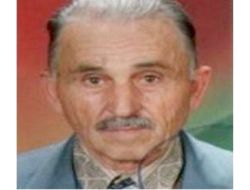 Ormanda Bulunan Kafatasının Kime Ait Olduğu Belirlendi