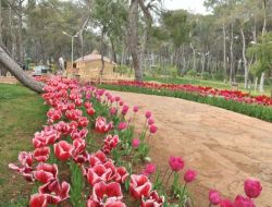 Antalya Kepezüstü’ndeki Kent Parkı, Yeni Sezona Hazırlanıyor