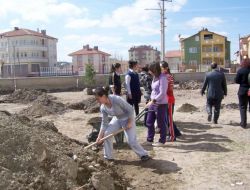 Liseye 75 Çam Ağacı Dikildi