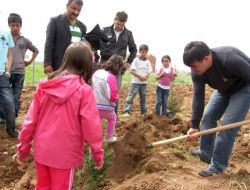 Silopi'de 10 Bin Fidan Toprakla Buluştu