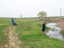 Evrensekiz Belediyesi Haşere Mücadelesi Başlattı