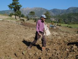 Mazot, Gübre Toprak Analizleri Desteklemeleri Başladı
