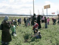 Minik Öğrenciler Fidan Dikti