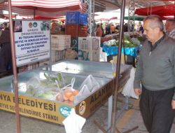 Alanya Belediyesi Pazar Yerlerinde İhtiyaç Sahipleri İçin Tezgah Kurdu