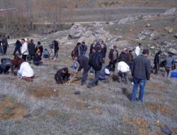 Yabancı Uyruklu Öğrencilerin De Türkiye’de Bir Dikili Ağacı Oldu