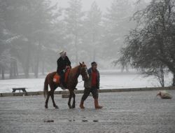 ABANT'TA NİSAN KARI