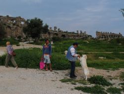 İlkbahar Side'de Tarihi Şehri Yeşilin Tonlarına Bürüdü