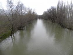 Zamantı Irmağı Taşma Noktasına Geldi