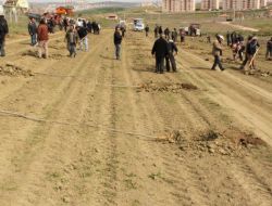 Polatlı’da Engelliler İçin Hatıra Ormanı