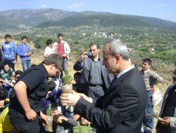 Yanan Ormanları Sivil Toplum Kuruluşları Yeniden Ağaçlandırıyor