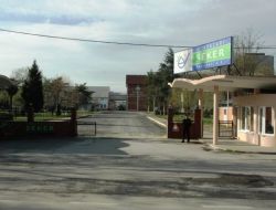 Komşu İlden Pancar Alan Adapazarı Şeker'e 99 Milyon Lire Ceza