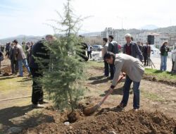 Vakfıkebir’de Dolgu Alanına 72 Fidan Dikildi