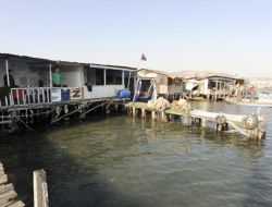 Bunlar Da Denizkondu