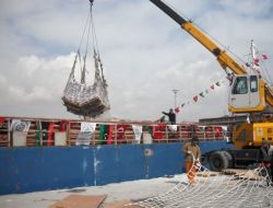 İhh Libya'ya Mobil Hastane Gönderdi