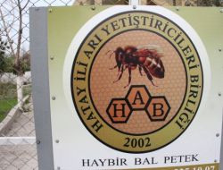Hatay Arı Yetiştiricileri Birliği'nin Dört Projesi Kabul Edildi