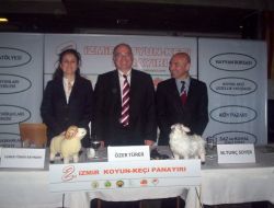 'İzmir Koyun Ve Keçi Sütü Toplamada Lider'