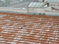 Kırıkkale’de Kar Etkili Oluyor