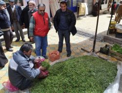 Madımak Pazardaki Yerini Aldı
