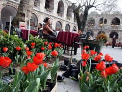 Yeşil Bursa Lalelerle Daha Da Renklendi
