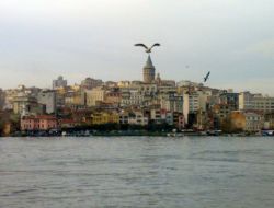 GALATA KÜLESİ'NDEKİ MARTI