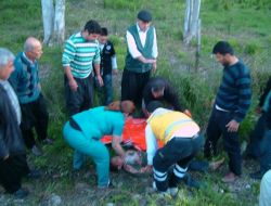 Köpekten Kaçan Çocuğa Otomobil Çarptı