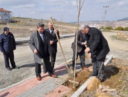 Yozgat Belediyesi Ağaçlandırma Çalışması Başlattı