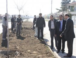 Bakan Eroğlu, Şuhut'ta Yeşillendirme Çalışmalarını İnceledi