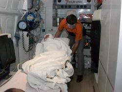 KÜTAHYA'DA KURT SALDIRISI