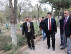 Budanan Ağaçlar Yoksul Vatandaşlara Yakacak Oluyor