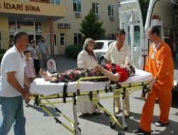 Bacağını Yılan Isıran Kadın, Eşarpla Ölümden Döndü