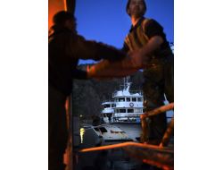 Greenpeace Yavru Balıklar İçin Av Yasağına Uyulmasını İstedi