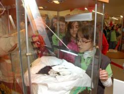 Sakal-ı Şerif, İki Gün Daha Ziyarete Açık Kalacak