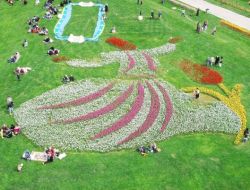 Lale Festivali Görsel Şölene Dönüştü