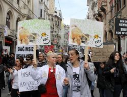 Samsun’da Öldürülen Köpek İçin İstanbul’da Yürüdüler