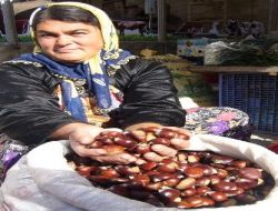 Kestane Pazara İndi