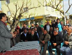 Sancaklıbozköy'de Kiraz Borsası Kurulacak