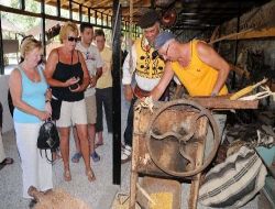 Turistler Saban Kulanıp Mısır Öğütüyor