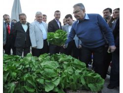 BAYKAL’DAN YSK ELEŞTİRİSİ