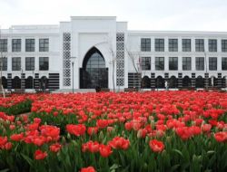 Laleler, Konya'nın Çehresini Değiştirdi!