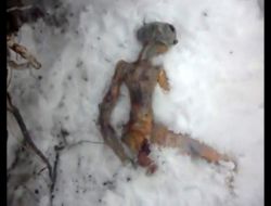 Rusya'da Uzaylı Cesedi İddiası