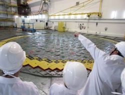 Rus Nükleer Santralleri Stres Testini Geçti