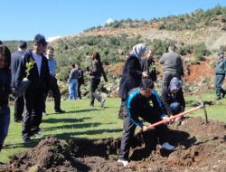 Üniversite Öğrencileri Fidan Dikti