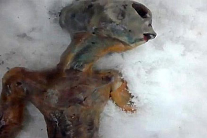 Bu görüntü dünyayı ayağa kaldırdı