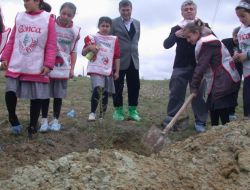 Çocukların Hedefi 1 Milyon Ağaç Dikmek