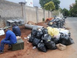 Johannesburg’u Fareler İstila Etti