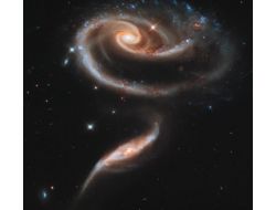 Hubble, Galaksilerden Oluşan ‘gül’ Görüntüledi